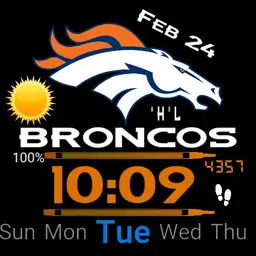 Denver Watch
