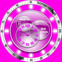 Ladys watch