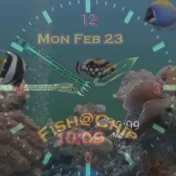FishChip Copy