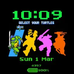 Turtles Copy