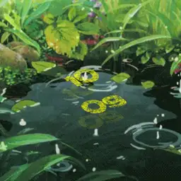 Happy Rain
