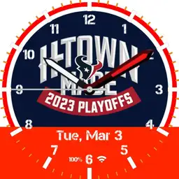 Houston Texans 2023 playoffs