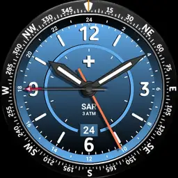 Brute SAR Search and Rescue Compass Field Watch Lume Colours