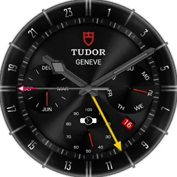 Focus T series v7