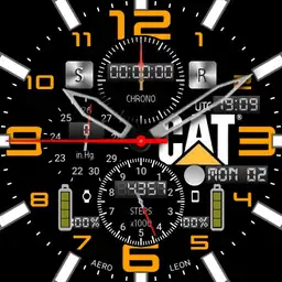 AeroLeon Cat Pilot V02