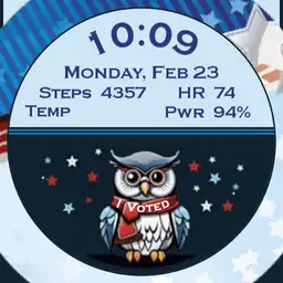 Patriotic Voting Owl