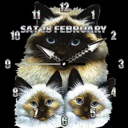 brit 3 cats