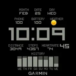 Garmin ST ORIGINAL Copy1