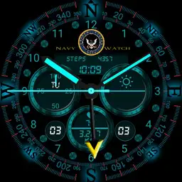 Navy watch