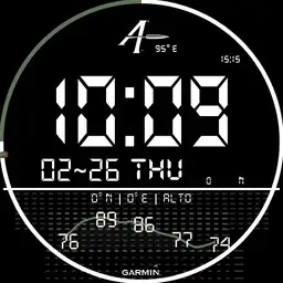 TicWatch Pro 4G GARMIN ballistics Copy