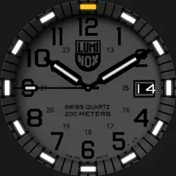 Luminox EVO Navy Seal Blackout mine Copy