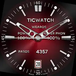 dual TICWATCH