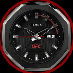 UFC Octagon