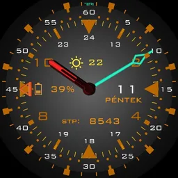 rpi-37