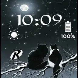 chilling cats