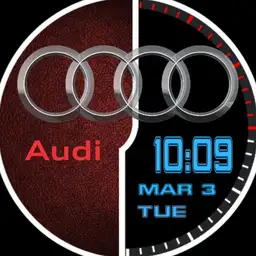 Audi Leather face
