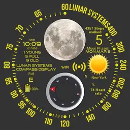 Lunar Systems
