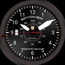 Skydiver Diver