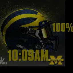 Michigan Wolverines