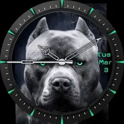 Pitbullmafia 2