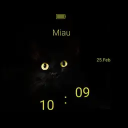 Black Cat