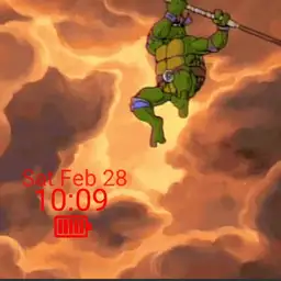 ninja turtles