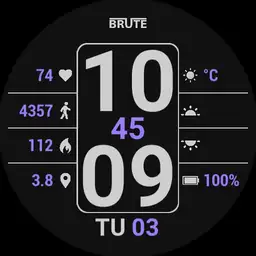 Brute Digital Multi Info Colours