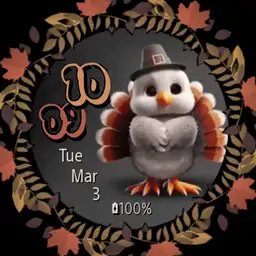 Cute Little Turkey