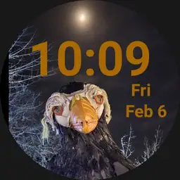 Puffin moonlight