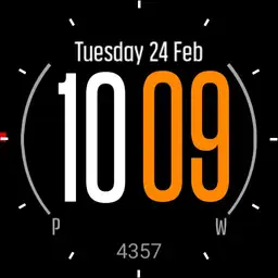 Garmin Fenix_am3 Copy