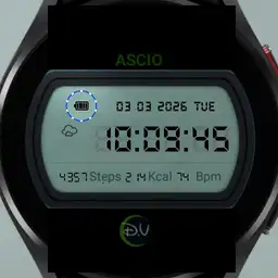 Ascio-watch