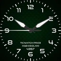 TICWATCH pro3XX Copy