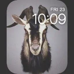 Goat