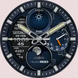 AION Hybrid 1.1