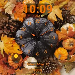 Autumn Splendor
