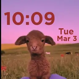 cute wittle goat
