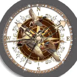 Zugvoegel Compass Dim