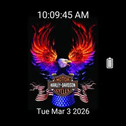 Harley Davidson Eagle