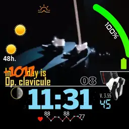 Michael Jackson, The King of pop Version 3.55