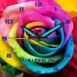 Rainbow Rose