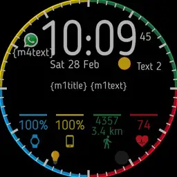 Wear OS 1.1.6 INFO SAM