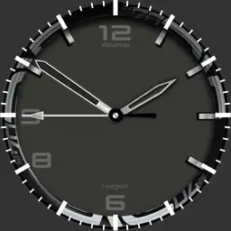 Smartwatch Systems