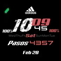 The best adiddas Copy