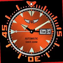 CJP310 Divers Analogue
