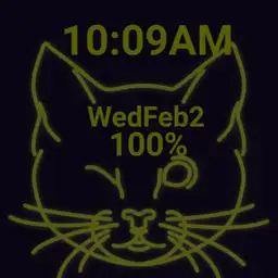 cat