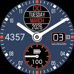 MS20221024