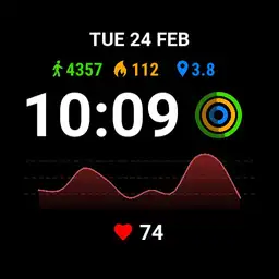 Brute HEART Monitor Digital Multi Info 04