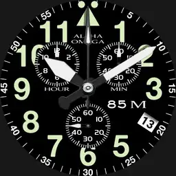 basic tactical watch