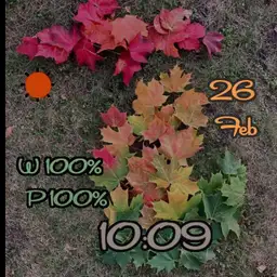 fall in Michigan