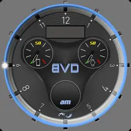 BVD Branded